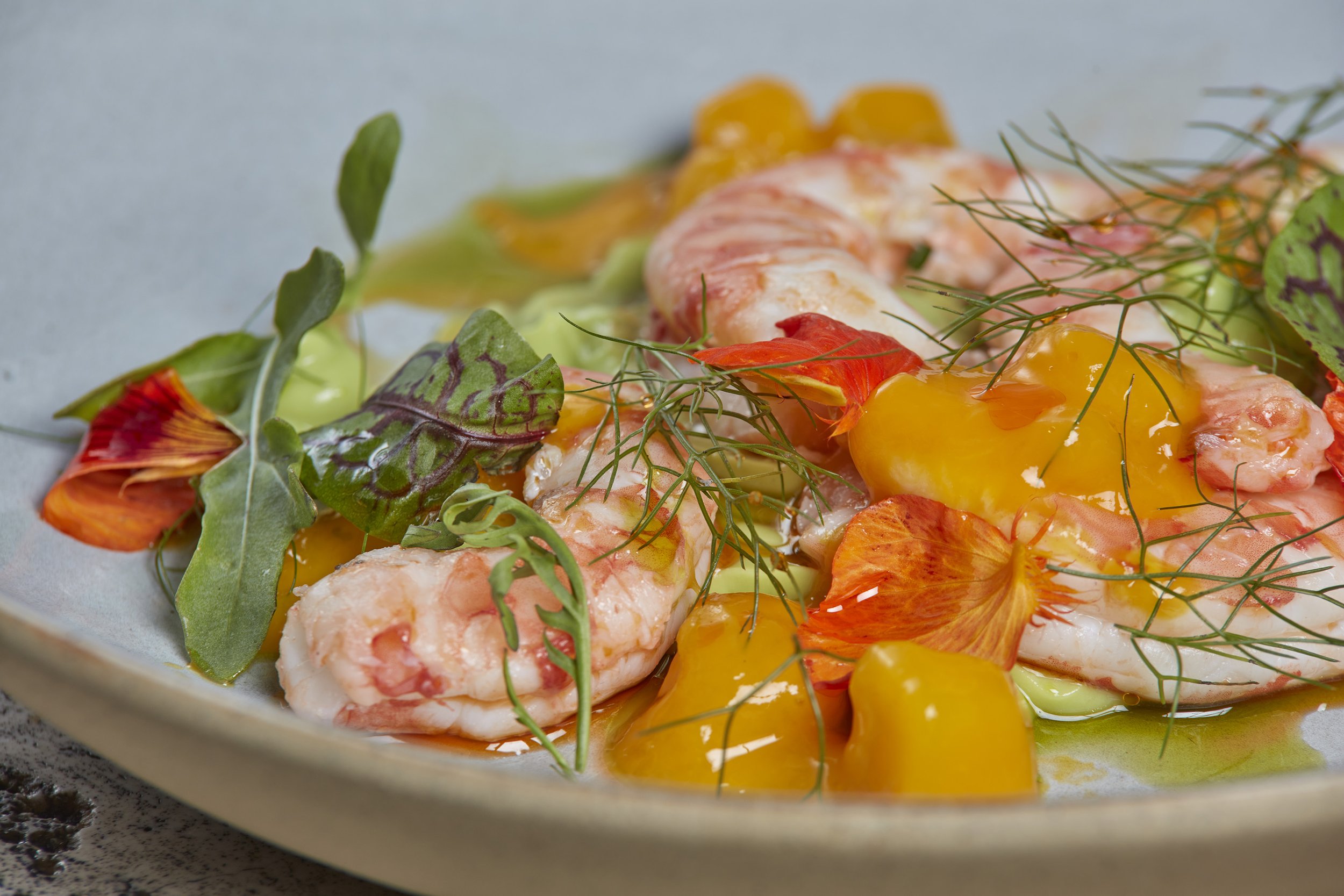 ADBON0024771 (1).jpg